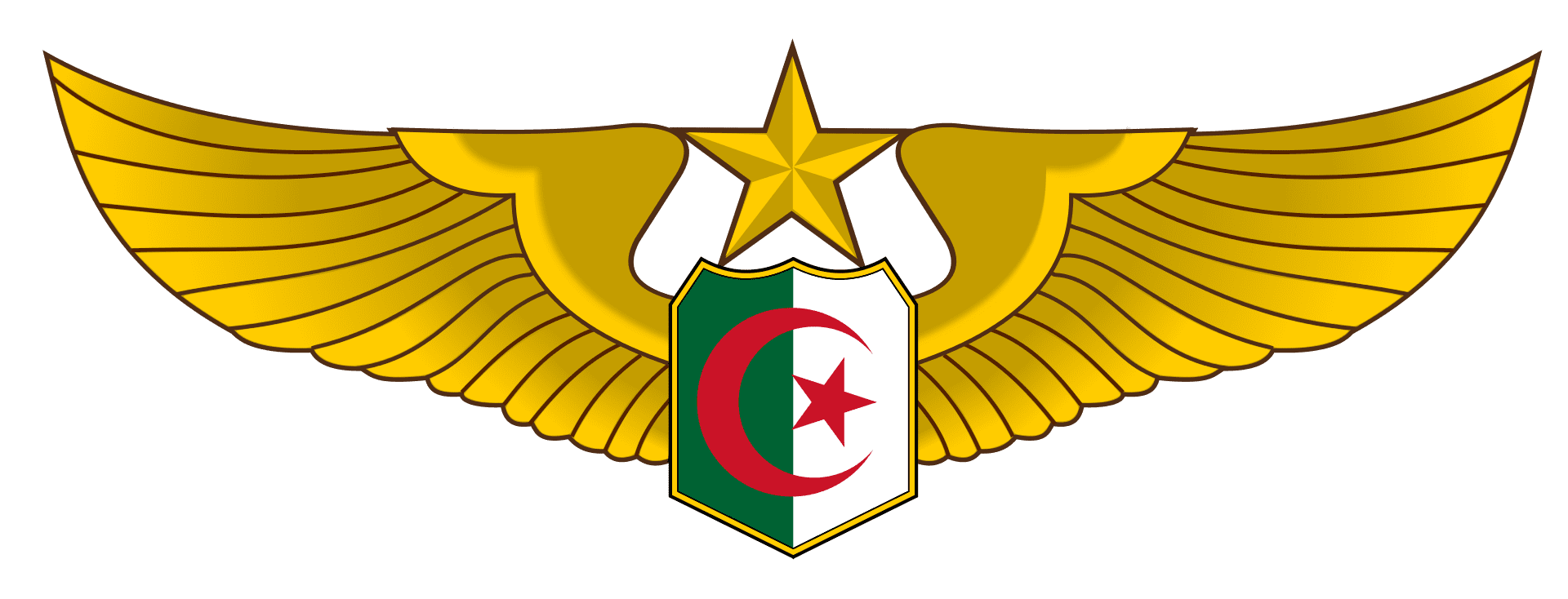 Air Force of Algeria