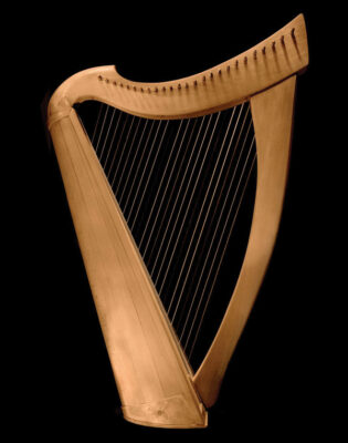 National instrument of Ireland