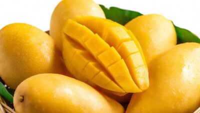 National Fruit of Pakistan -Mango