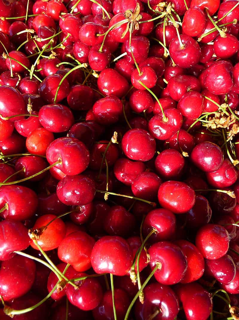National Fruit of Albania -Cherry