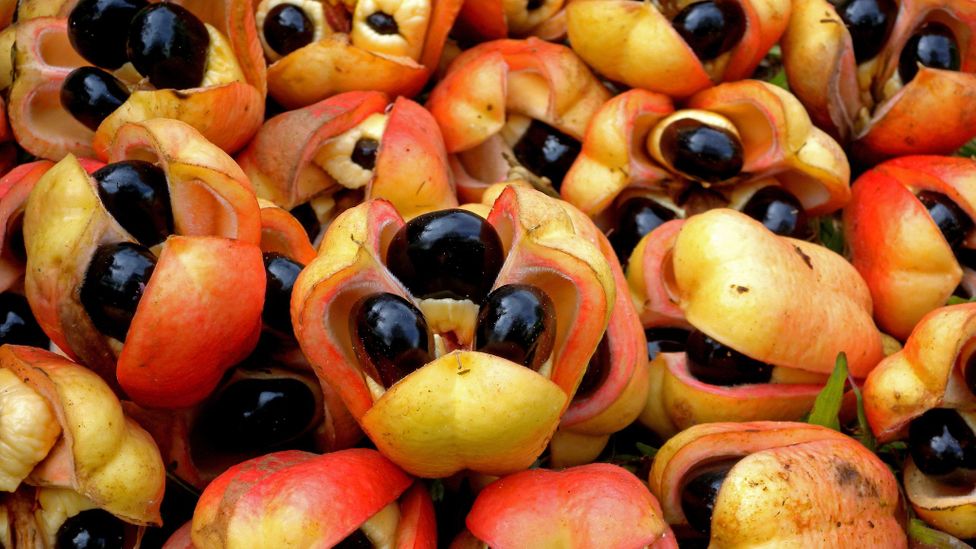 National Fruit of Ghana -Ackee