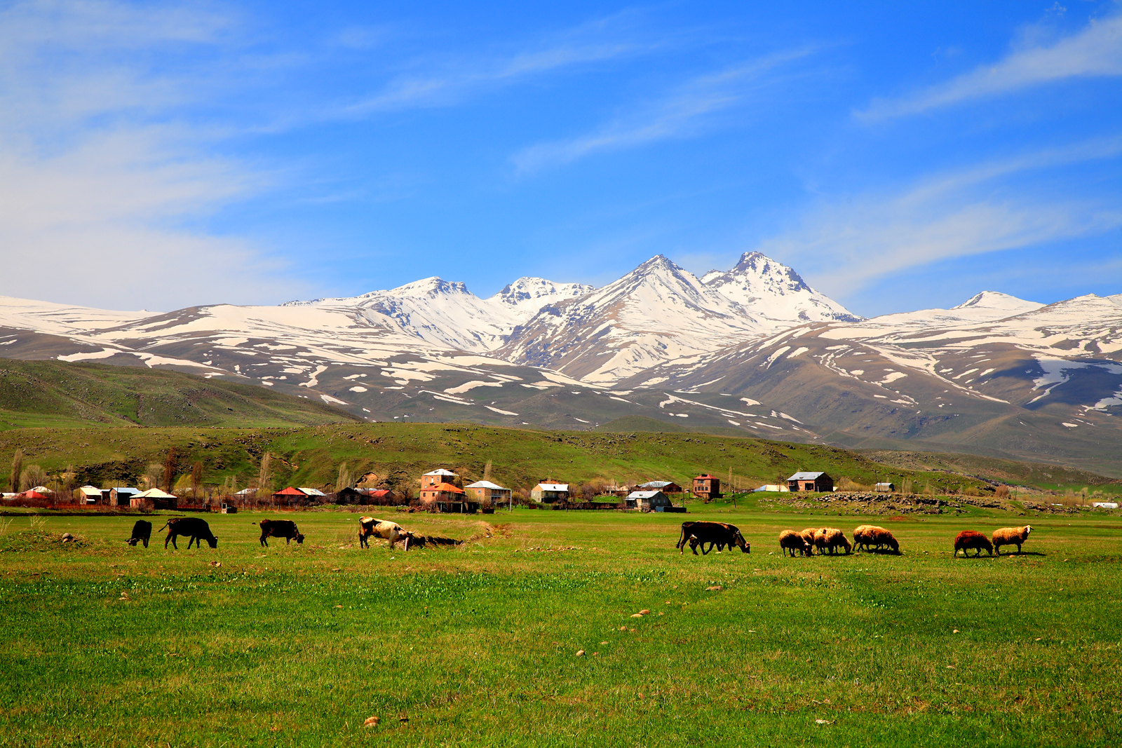 Highest peak of Armenia