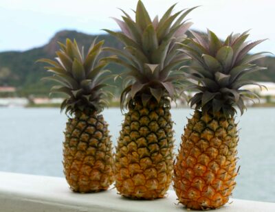 National Fruit of Antigua and Barbuda -Black Pineapple