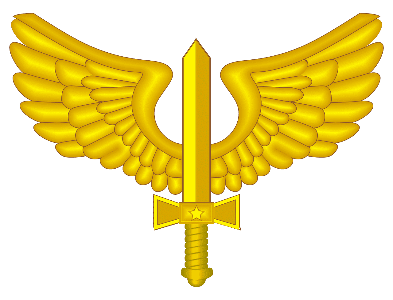 Air Force of Brazil