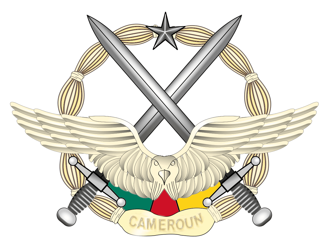 Air Force of Cameroon
