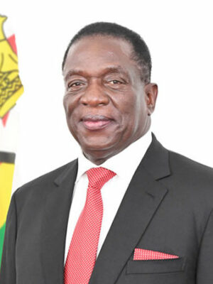 President of Zimbabwe - Emmerson Mnangagwa