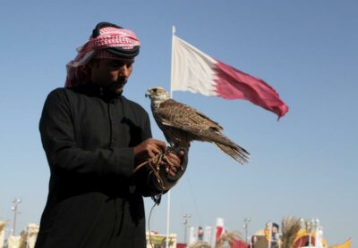 National bird of Qatar