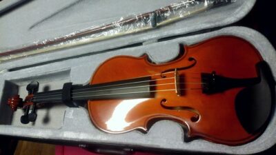 National instrument of Netherlands - Fiddle
