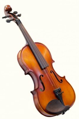 National instrument of France - Fiddle
