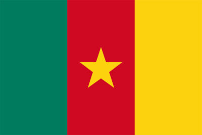 National flag of Cameroon