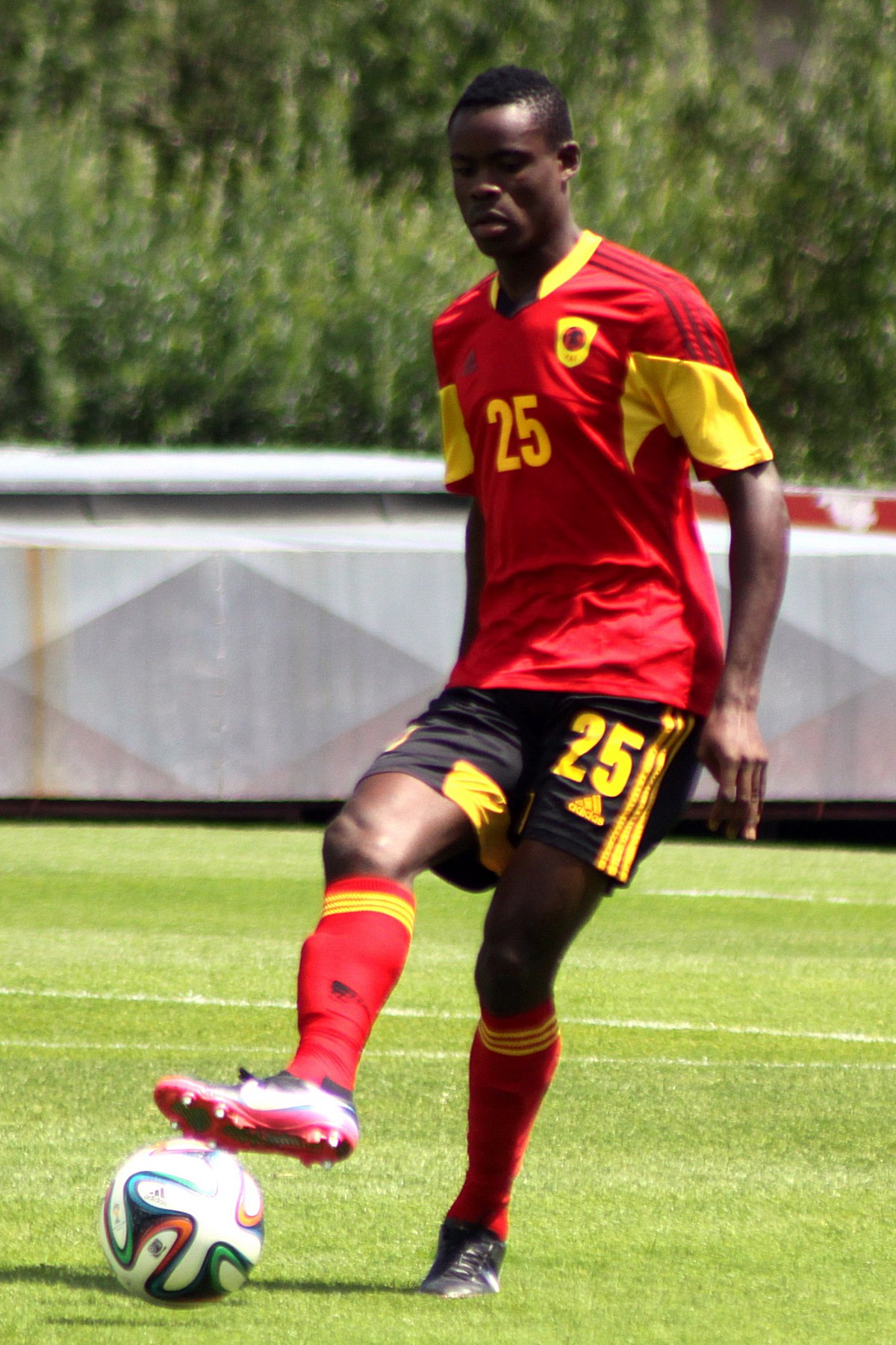 National sports of Angola - Football