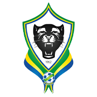 National football team of Gabon
