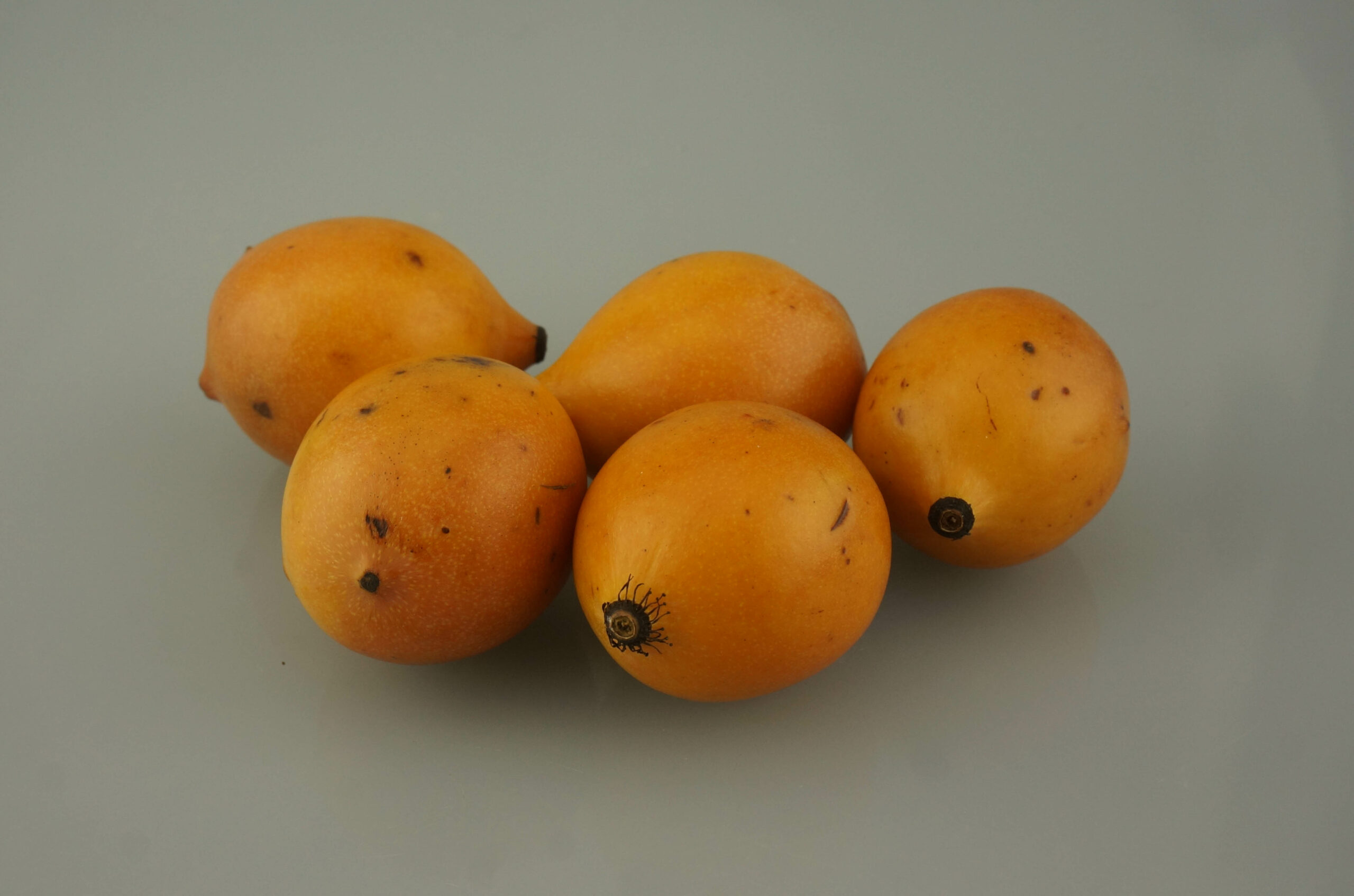 National Fruit of Bolivia -Garcinia humilis