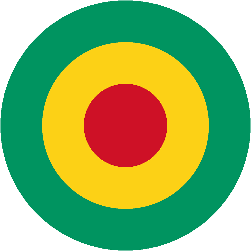 Air Force of Guinea - Guinea Air Force