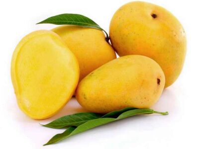 National Fruit of India -Mango
