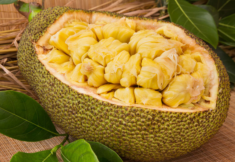 National Fruit of Vanuatu -Jackfruits
