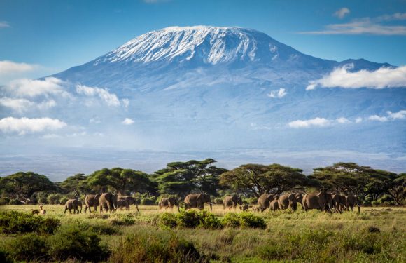 Highest peak of Tanzania