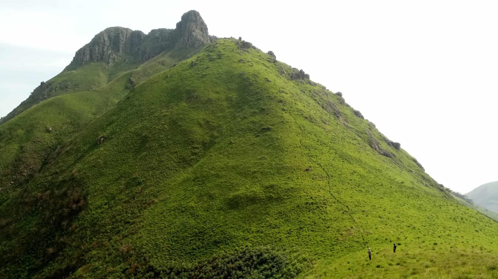 Highest peak of Sierra Leone