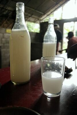 National drink of Democratic Republic of the Congo - Lotoko