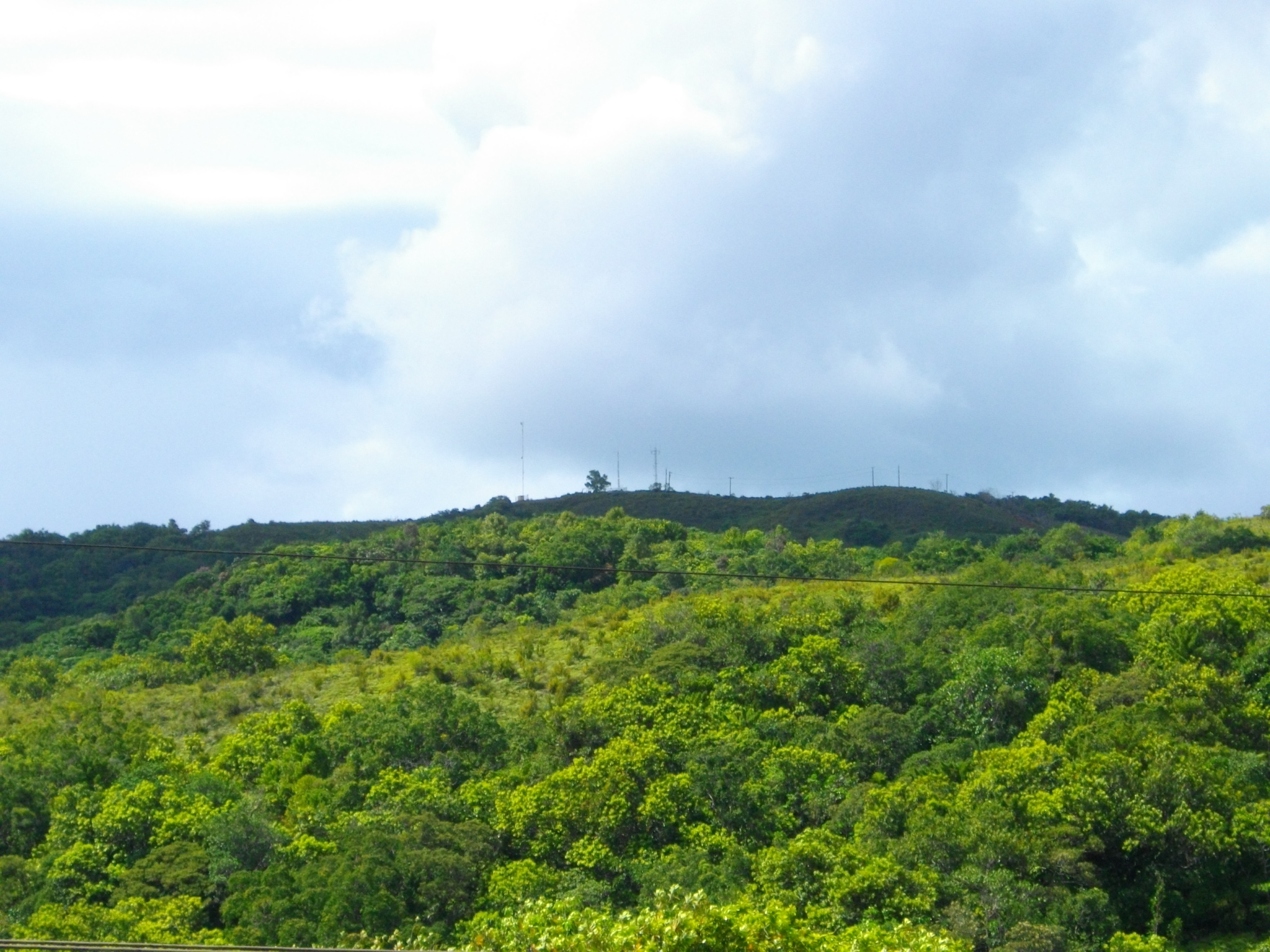 Highest peak of Palau