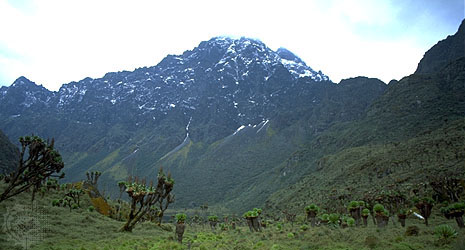 Highest peak of Democratic Republic of the Congo