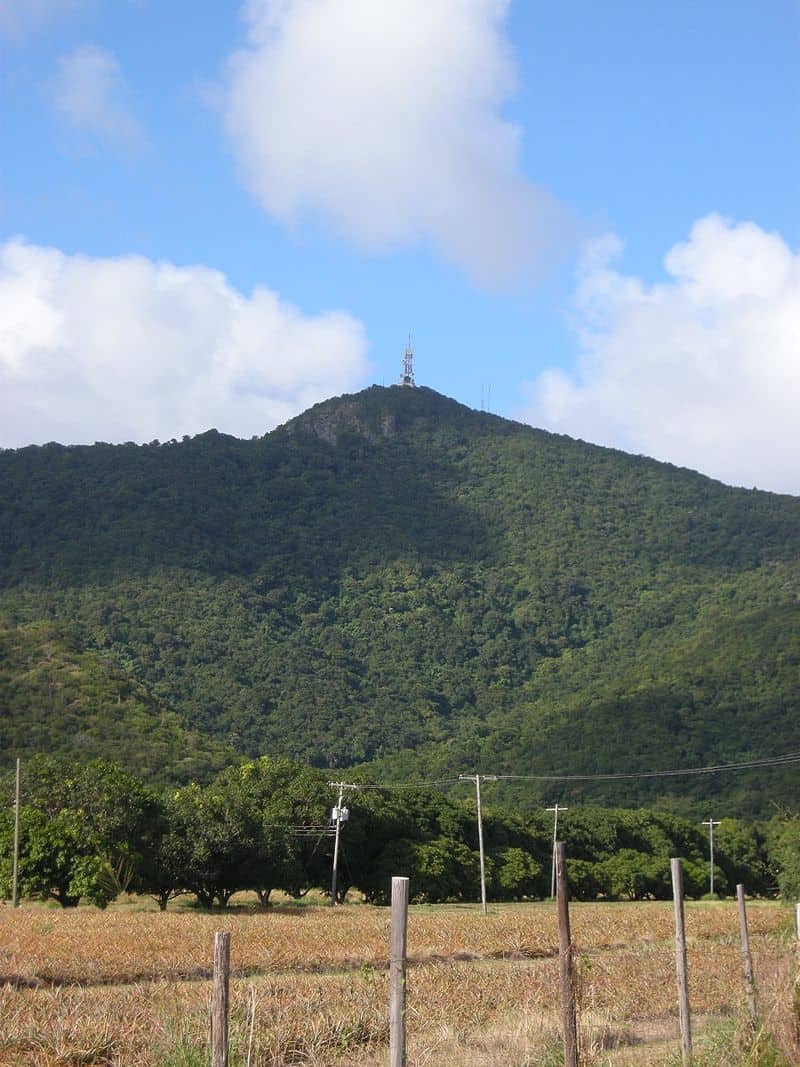 Highest peak of Antigua and Barbuda