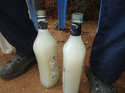 National drink of Cameroon - Odontol