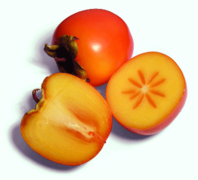 National Fruit of Japan -Persimmon