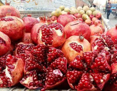 National fruit of Iran