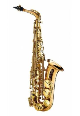 National instrument of Belgium - Saxophone