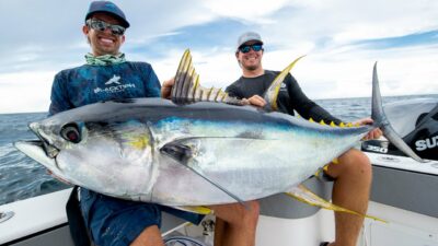 National Animal of Maldives - Yellowfin tuna