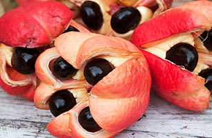 National Fruit of Jamaica -Ackee