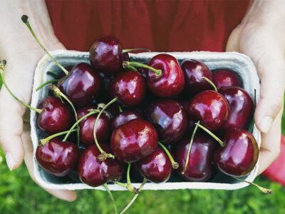 National Fruit of Albania -Cherry