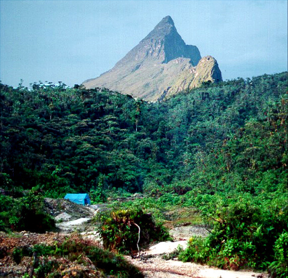 Highest peak of French Guiana