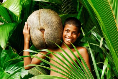 National Fruit of Cocos (Keeling) Islands -Coco De Mer Fruit