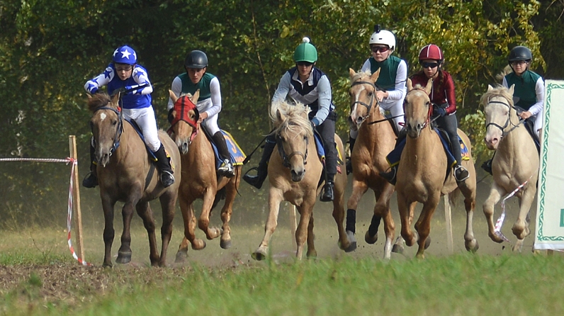 National sports of Tatarstan - Horse racing