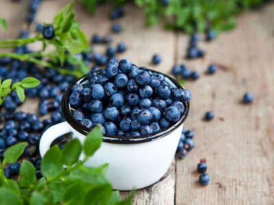 National Fruit of Jersey -Blueberry