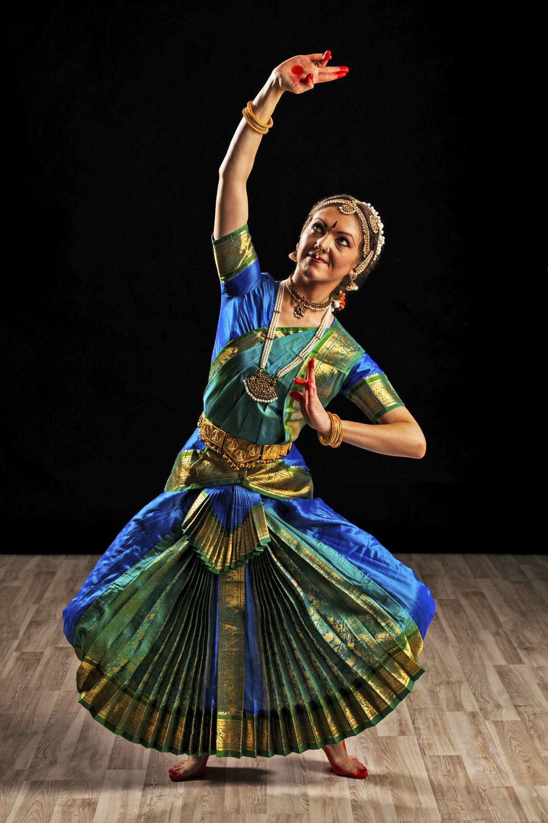 State dance of Tamil Nadu