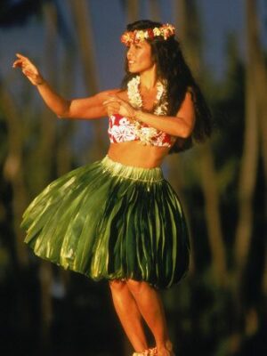 State dance of Hawaii
