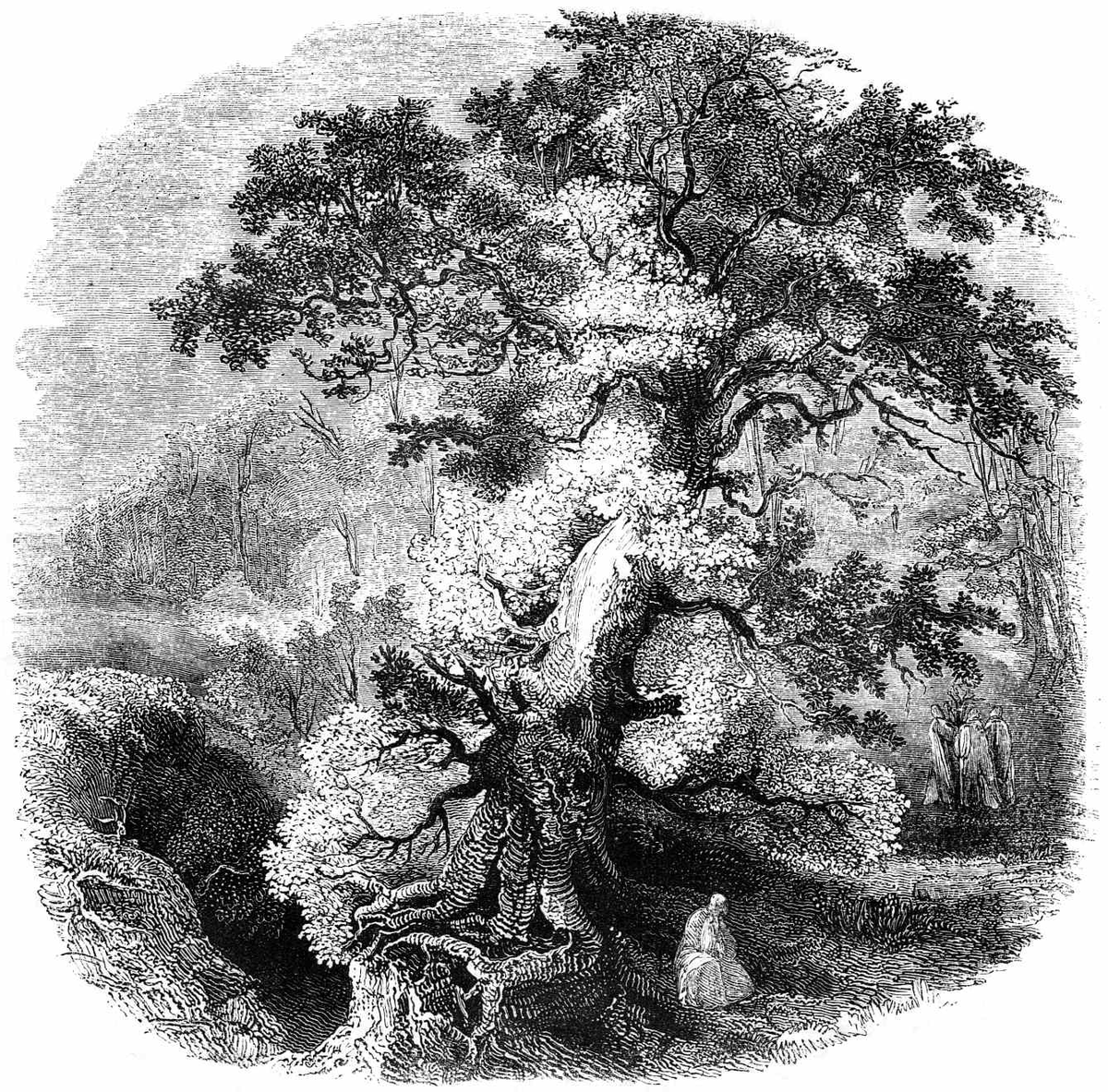 Crann Bethadh (Celtic Tree of Life)