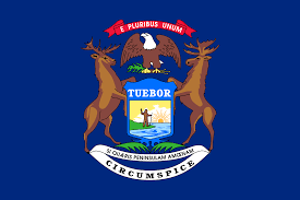 Michigan flag